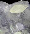 Cubic Fluorite And Calcite Crystals on Matrix - Elmwood Mine #89964-3